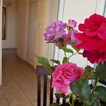 Guest house Sunny Island 2*