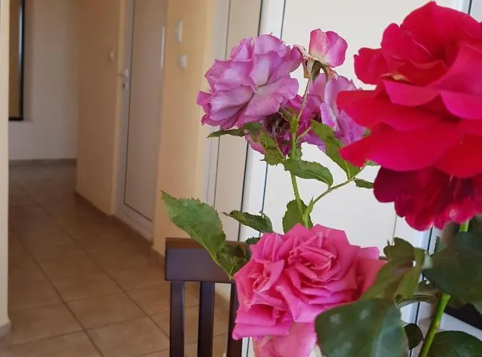 Guest house Sunny Island 2*